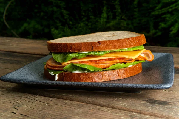 Sandwich Queso Americano Pollo Buffalo Mesa Picnic —  Fotos de Stock