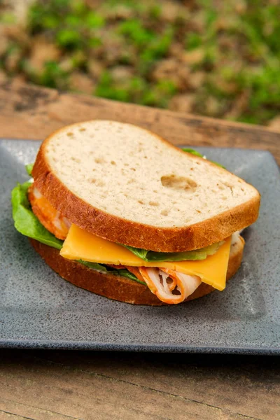 Buffalo Kip Amerikaanse Kaas Sandwich Picknicktafel — Stockfoto