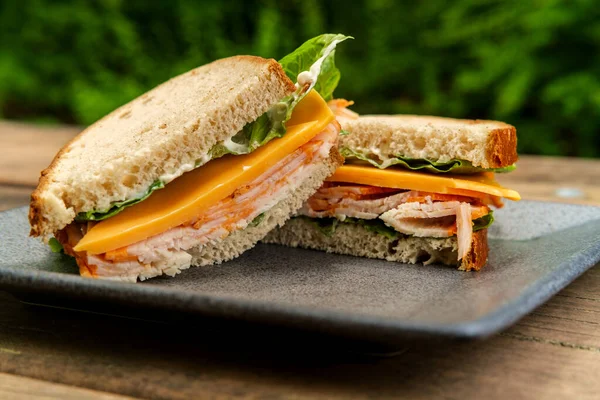 Buffalo Chicken American Cheese Sandwich Picnic Table — Stock Photo, Image