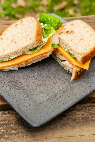 Buffalo Kip Amerikaanse Kaas Sandwich Picknicktafel — Stockfoto