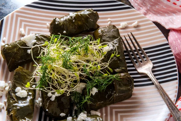 Dolma Yaprak Armenio Aperitivo Hojas Uva Rellenas —  Fotos de Stock