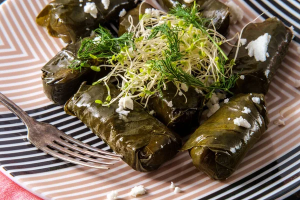 Dolma Yaprak Armenio Aperitivo Hojas Uva Rellenas —  Fotos de Stock