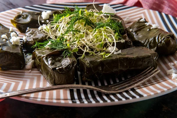 Yaprak Arménien Dolma Feuilles Raisin Farcies Apéritif — Photo