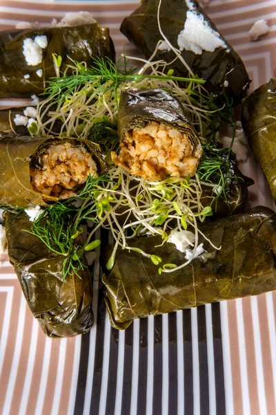 Yaprak Dolma Armênio Uva Recheada Folhas Aperitivo — Fotografia de Stock