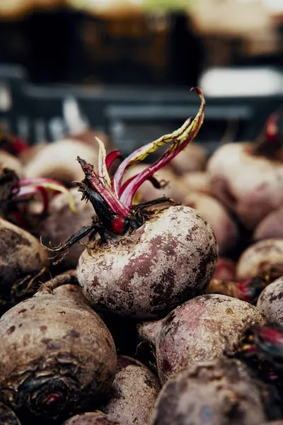 Betteraves Rouges Biologiques Exposées Marché Fermier Local — Photo