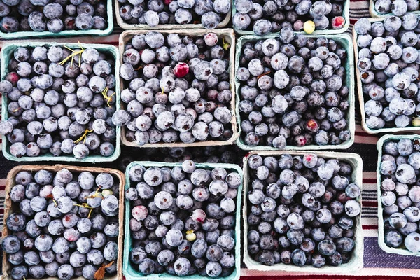 Arándanos Frescos Orgánicos Primer Plano Mercado Agricultores Locales — Foto de Stock