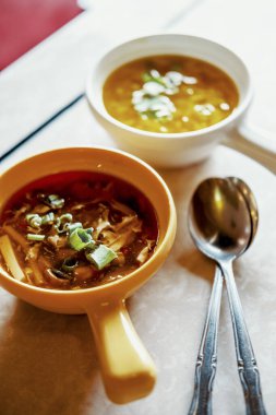 Otantik Çin yemeği Wonton çorbası dilimlenmiş yeşil soğanla süslenmiş.