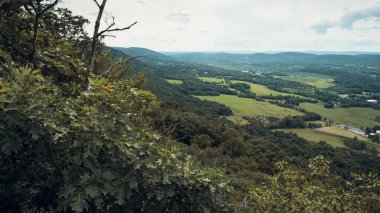Appalachian Dağları 'ndaki Stairway to Heaven Trail' in tepesinden yeşil çam ağaçları ve yaz akçaağacı ve meşe ağaçlarıyla