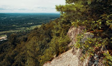 Appalachian Dağları 'ndaki Stairway to Heaven Trail' in tepesinden yeşil çam ağaçları ve yaz akçaağacı ve meşe ağaçlarıyla