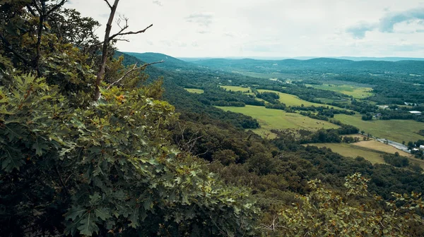 Appalachian Dağları Ndaki Stairway Heaven Trail Tepesinden Yeşil Çam Ağaçları — Stok fotoğraf