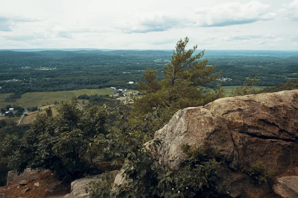 Appalachian Dağları Ndaki Stairway Heaven Trail Tepesinden Yeşil Çam Ağaçları — Stok fotoğraf