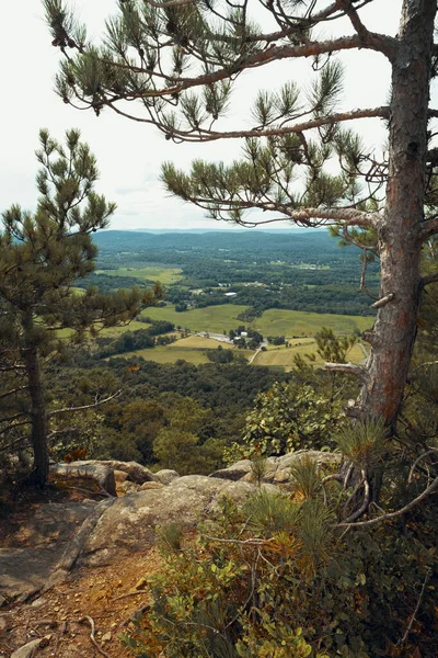 Appalachian Dağları Ndaki Stairway Heaven Trail Tepesinden Yeşil Çam Ağaçları — Stok fotoğraf