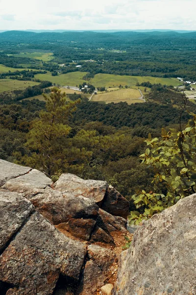 View Top Stairway Heaven Trail Appalachian Mountains Green Pines Summer — Zdjęcie stockowe