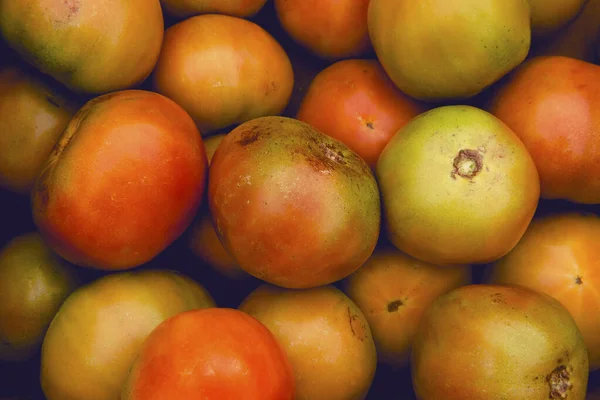 Montón Tomates Orgánicos Frescos Exhibición Mercado Agricultores — Foto de Stock