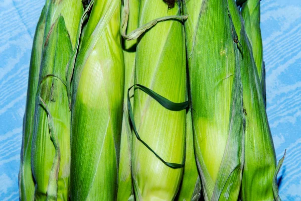 Свежие Уши Фермеров Продают Кукурузу Летний День — стоковое фото