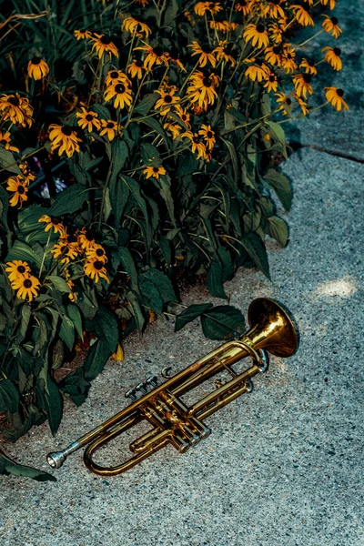 Trombeta Instrumento Jazz Verão Sozinha — Fotografia de Stock