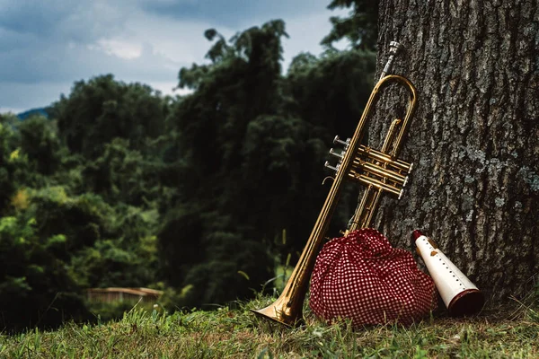 Viajantes Músicos Trompete Lenço Piquenique Saco — Fotografia de Stock