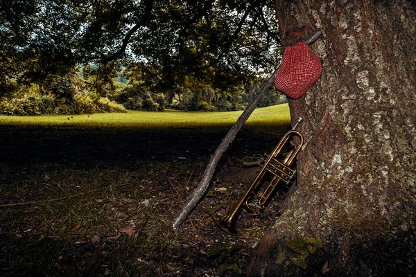 Traveling Musicians Trumpet Handkerchief Picnic Sack Stick — Stock Photo, Image