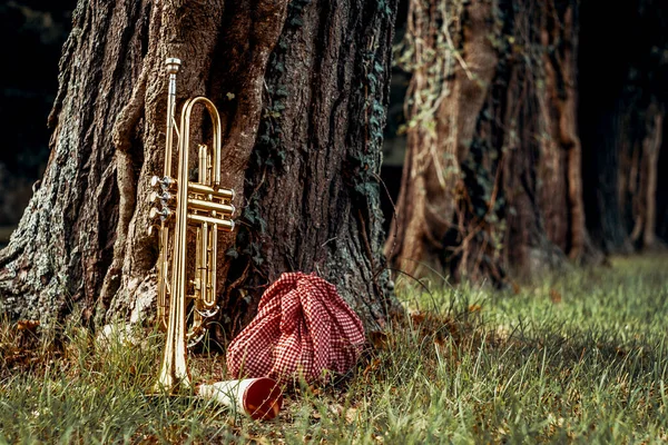 Musicisti Itineranti Tromba Fazzoletto Sacco Picnic Bastone — Foto Stock