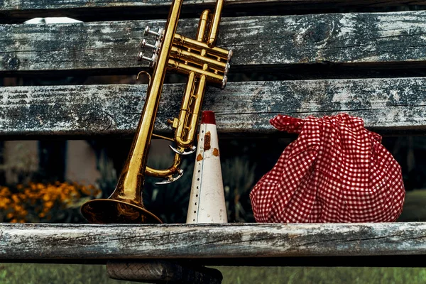 Podróżujący Muzycy Trąbka Chusteczka Piknik Worek Drewnianej Ławce Park — Zdjęcie stockowe