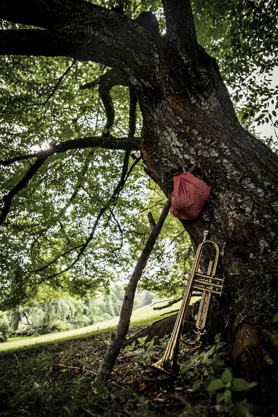 Resande Musiker Trumpet Och Näsduk Picknick Säck Pinne — Stockfoto