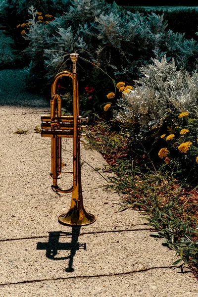 Trombeta Instrumento Jazz Verão Sozinha Calçada Subúrbio — Fotografia de Stock