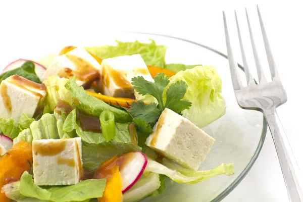 Insalata di tofu con condimento al sesamo — Foto Stock