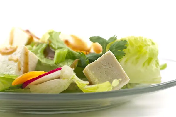 Insalata di tofu con condimento al sesamo — Foto Stock