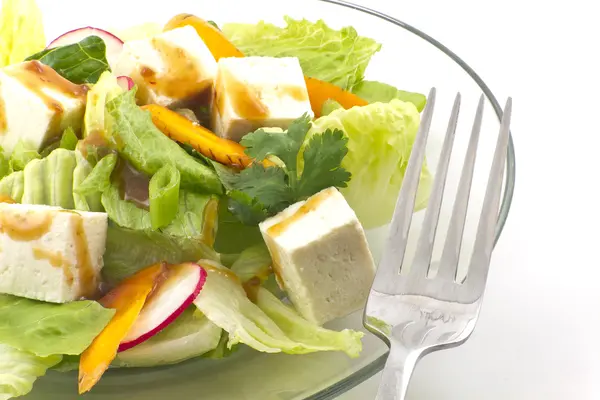 Salada de tofu com molho de gergelim — Fotografia de Stock