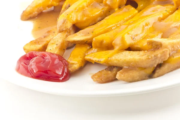 Gravy and Cheese Disco Fries — Stock Photo, Image