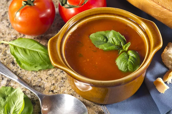 Sopa de manjericão de tomate — Fotografia de Stock