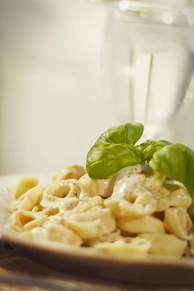 Tortellini with Alfredo Sauce — Stock Photo, Image