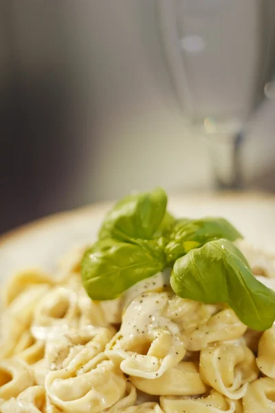 Tortellini with Alfredo Sauce — Stock Photo, Image