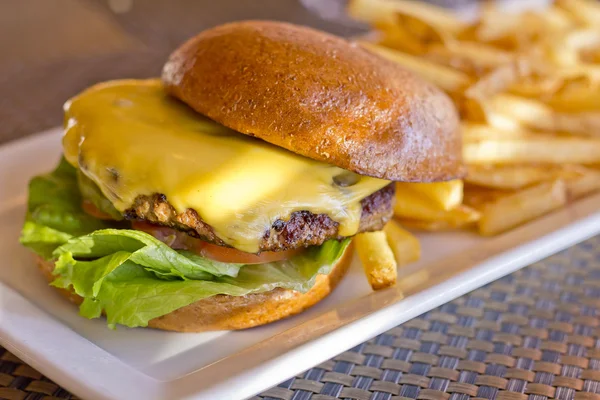 Cheeseburger and Fries Stock Picture