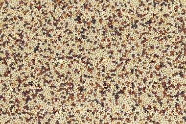 karışık quinoa