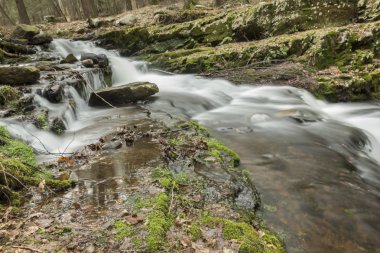 Misty Woodland şelale 
