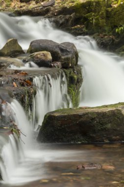 Misty Woodland şelale 