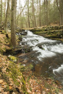 Misty Woodland şelale 