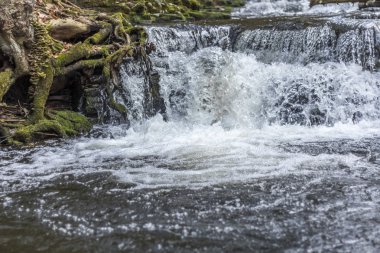Eylem donmuş şelale