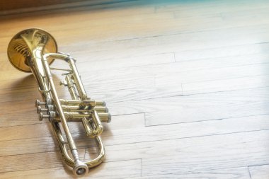 Trumpet Wooden Floor clipart