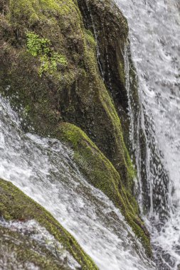 Eylem donmuş şelale