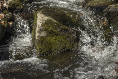 Eylem donmuş şelale