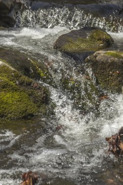 Eylem donmuş şelale