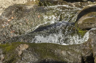 Eylem donmuş şelale