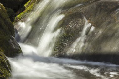 Misty Woodland şelale 