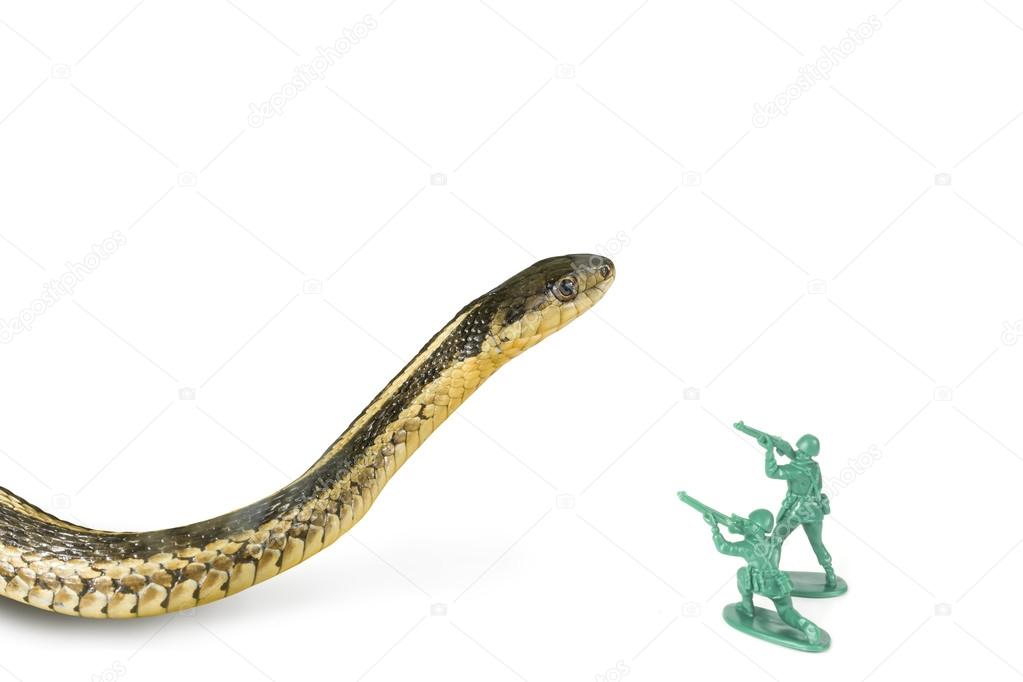 Army Men Attack Snake