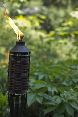 Bambu Citronella meşale
