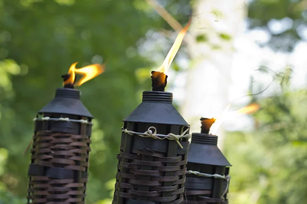 Bamboo citronella torch Stock Photos, Royalty Free Bamboo citronella