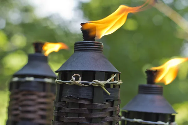 Antorcha de citronela de bambú — Foto de Stock