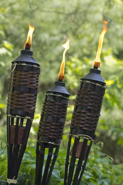 Citronella torch Stock Photos, Royalty Free Citronella torch Images